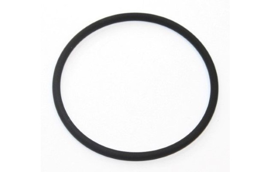 Sealing ring