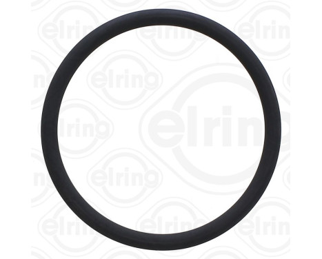 Sealing ring