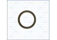 Gasket, coolant pipeline