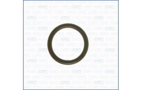 Gasket, coolant pipeline