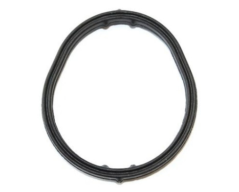 Gasket, oil cooler