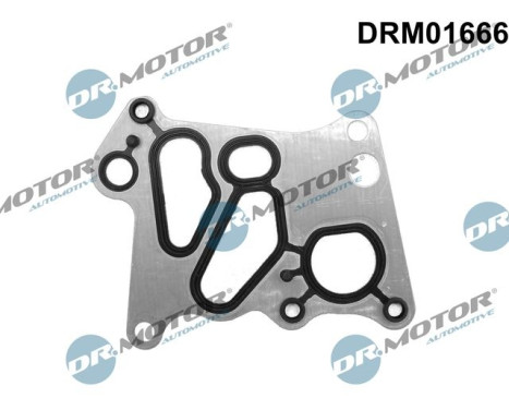 Gasket, oil cooler