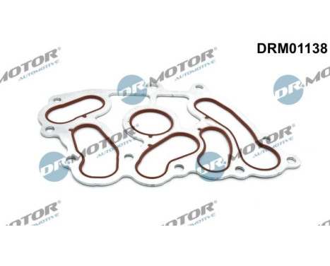 Gasket, oil cooler
