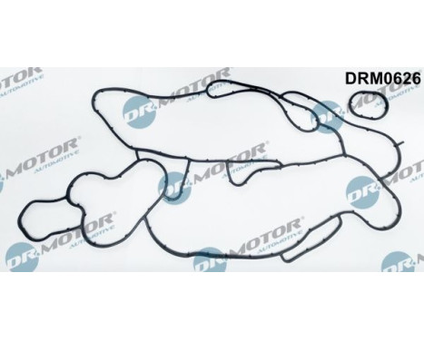Gasket, oil cooler