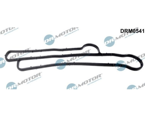 Gasket, oil cooler
