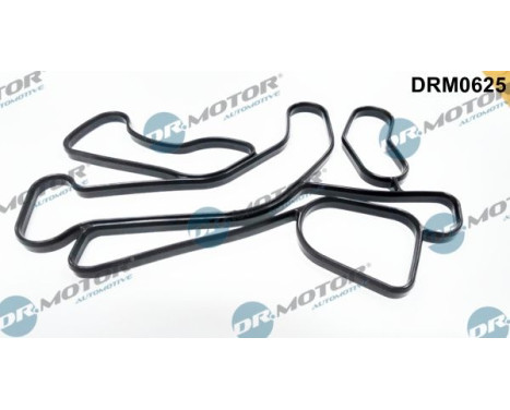 Gasket, oil cooler