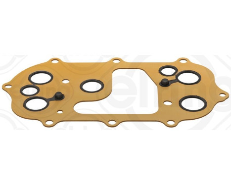 Gasket, oil cooler