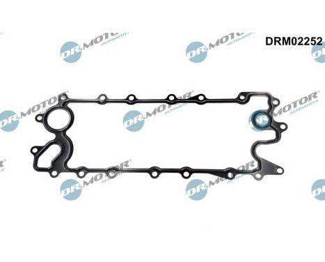 Gasket, oil cooler