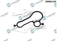 Gasket, oil cooler