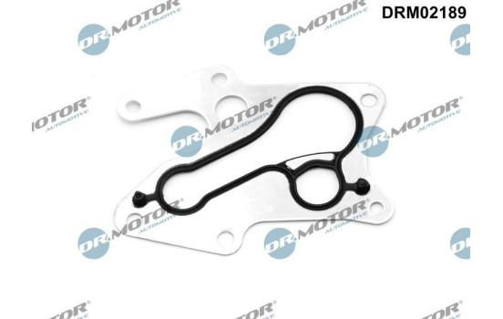 Gasket, oil cooler