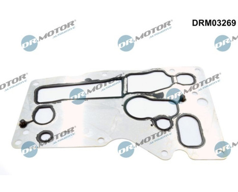 Gasket, oil cooler
