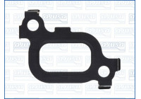 Gasket, oil cooler