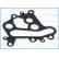 Gasket, oil cooler