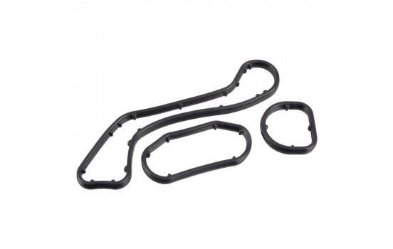 Gasket Set, oil cooler 171916 FEBI