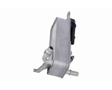 Oil cooler, automatic transmission, Image 6