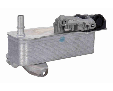 Oil cooler, automatic transmission