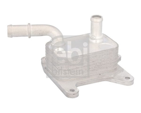 Oil cooler, engine oil 188625 FEBI