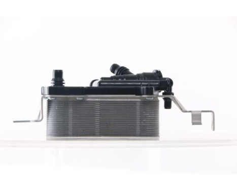 Oil Cooler, engine oil BEHR, Image 9