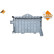 Oil Cooler, engine oil EASY FIT
