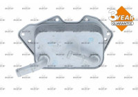 Oil Cooler, engine oil EASY FIT