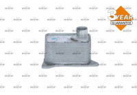 Oil Cooler, engine oil
