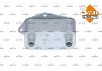 Oil Cooler, engine oil