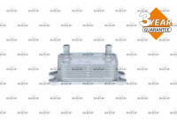 Oil Cooler, engine oil