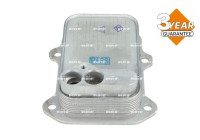 Oil cooler, engine oil