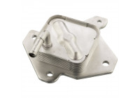 Oil Cooler, engine oil