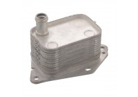 Oil Cooler, engine oil