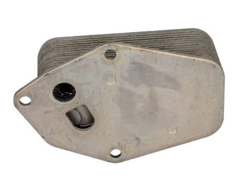Oil Cooler, engine oil