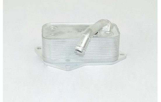 Oil cooler, engine oil