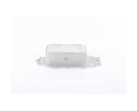 Oil cooler, engine oil