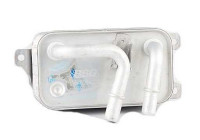 Oil cooler, engine oil