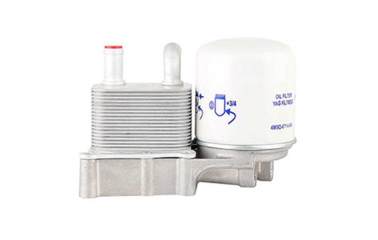 Oil cooler, engine oil