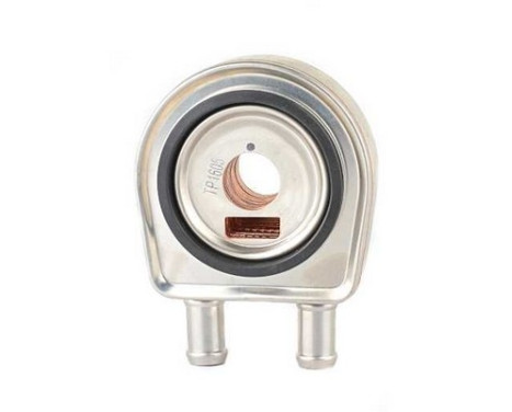 Oil cooler, engine oil