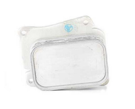 Oil cooler, engine oil