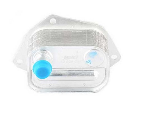 Oil cooler, engine oil