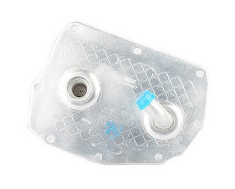 Oil cooler, engine oil