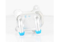 Oil cooler, engine oil