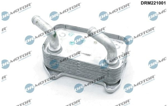 Oil cooler, engine oil