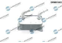 Oil cooler, engine oil