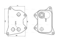 Oil cooler, engine oil