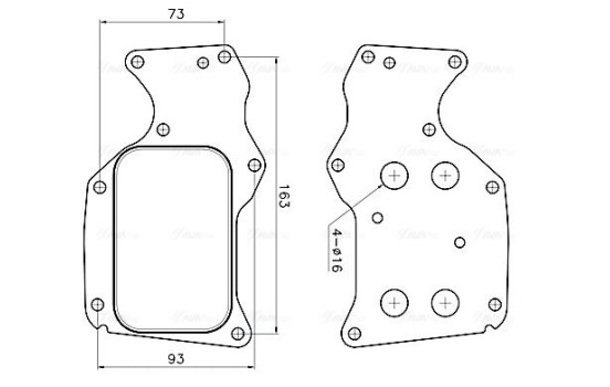 Oil cooler, engine oil