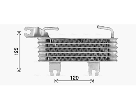 Oil Cooler, engine oil