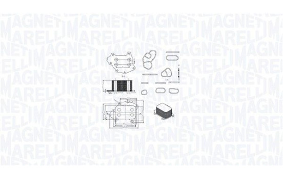 Oil cooler, engine oil