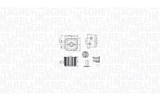 Oil cooler, engine oil