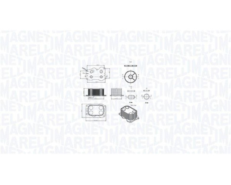 Oil cooler, engine oil