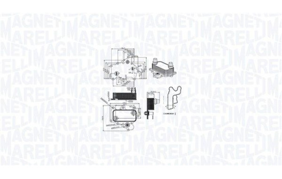 Oil cooler, engine oil