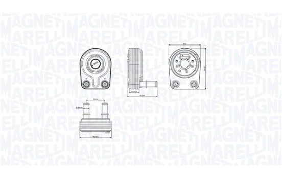 Oil cooler, engine oil